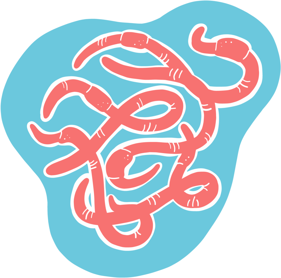 Worms (1000x1000), Png Download