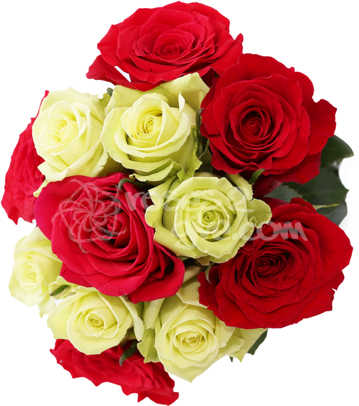 Red - Green Combination - Red And Yellow Rose Png (800x800), Png Download