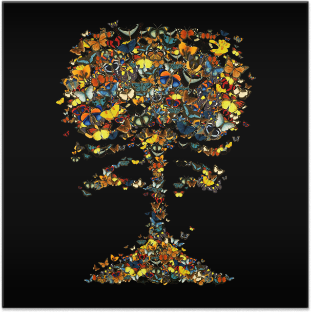 Azulejo Atomic Butterfly De Tobias Fonsecana - Schmetterlinge Glasbild Atomic Butterfly Glasbilder (800x800), Png Download