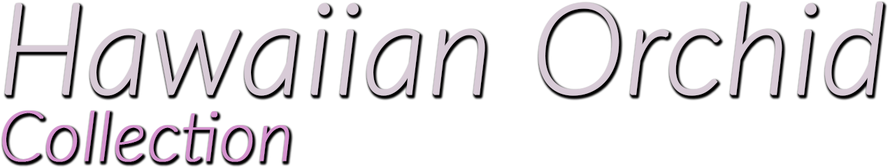 Our Studios Are Strategically Located Right In The - Hawaii (1920x400), Png Download