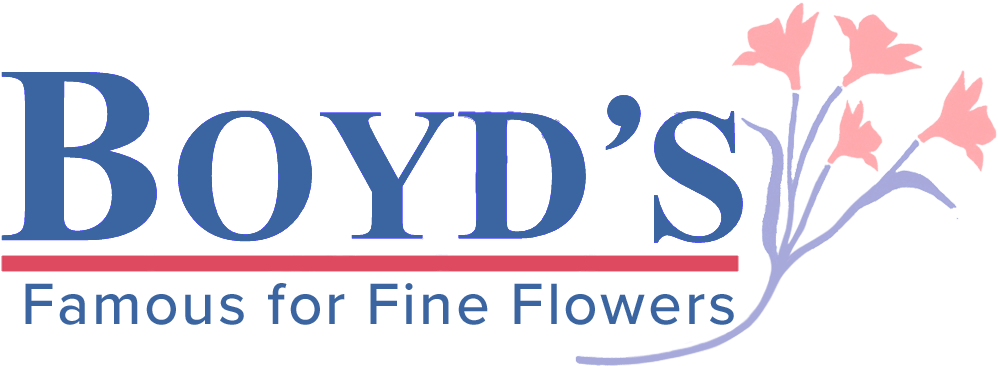 Home Page (1004x370), Png Download