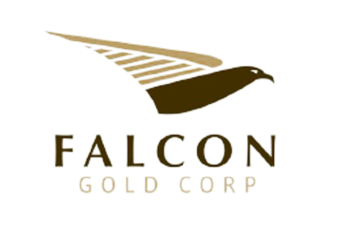 Falcon Gold Corp - Falcon (1024x768), Png Download