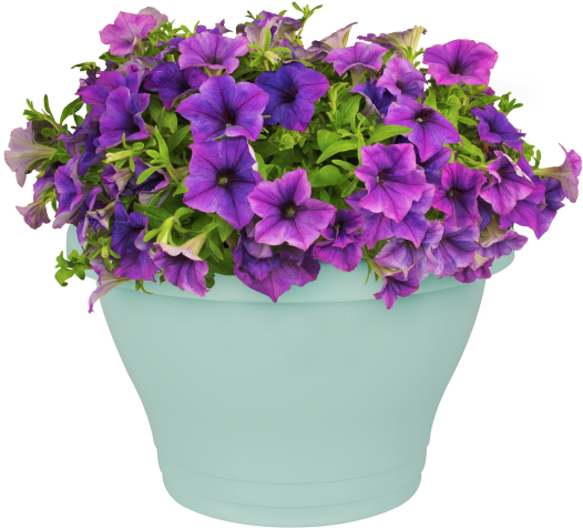 Home > Collection > Corsica Wall Basket (750x750), Png Download