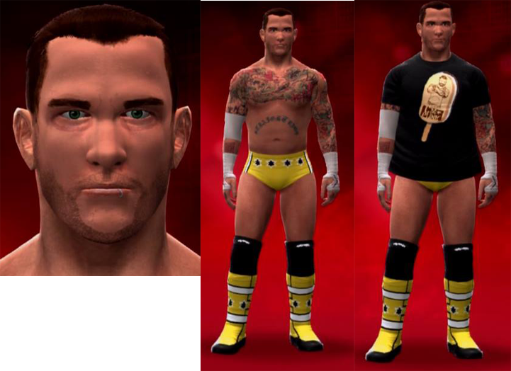 0bddf - Cm Punk Wwe Attire (721x524), Png Download