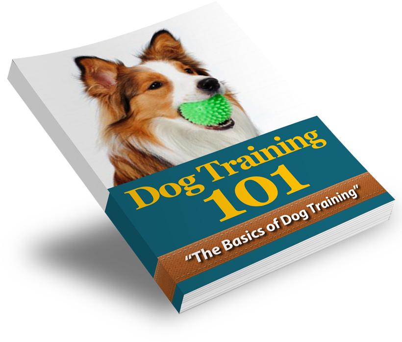 We Send Out The Download Link For The Ebooks Along - Dog (827x984), Png Download