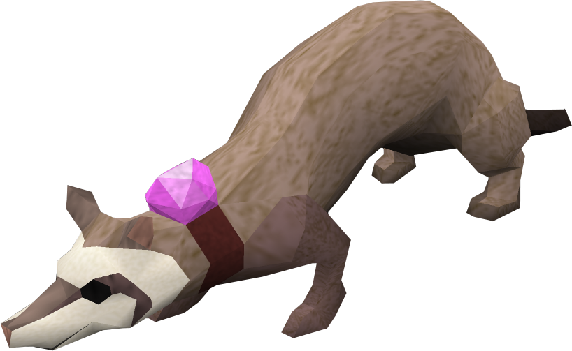 This Reminds Of Me That Annoying Ass Dungeoneering - Runescape Ferret (818x503), Png Download