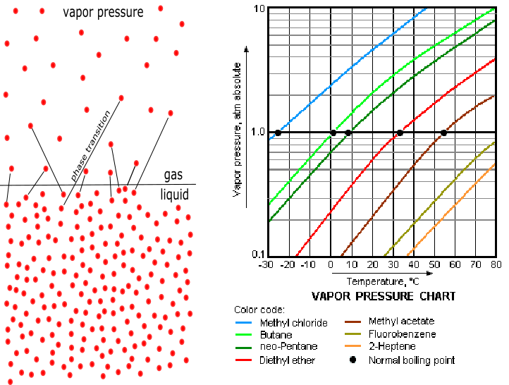Vapor Pressure Illustration And Plots - Nicotine Vapor Pressure Curve (722x546), Png Download