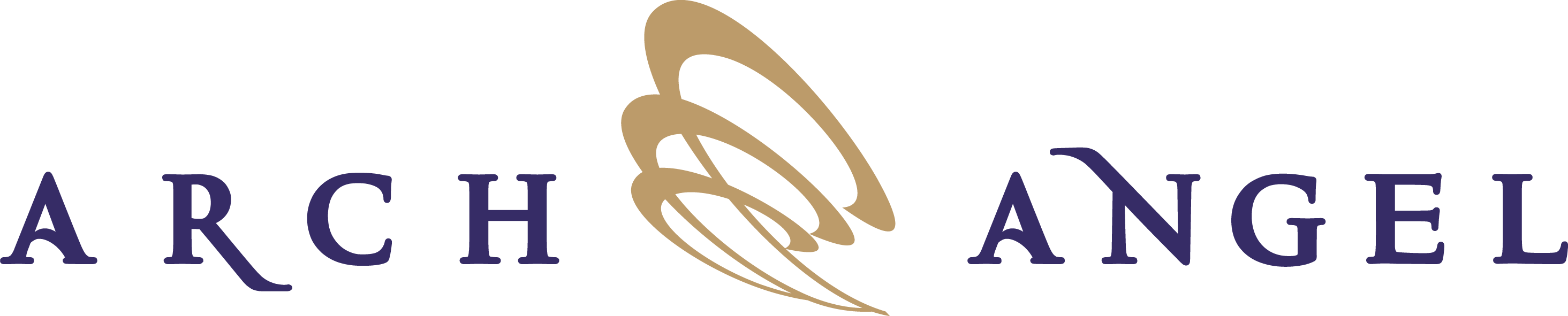 $100 - - Shoe (2929x591), Png Download