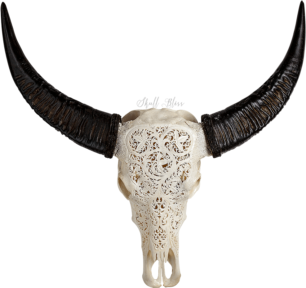 Skull (1000x1000), Png Download