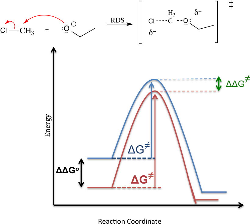 Solvent Effect Sn1 Mechanism - Sn1 Solvent Effect (831x786), Png Download