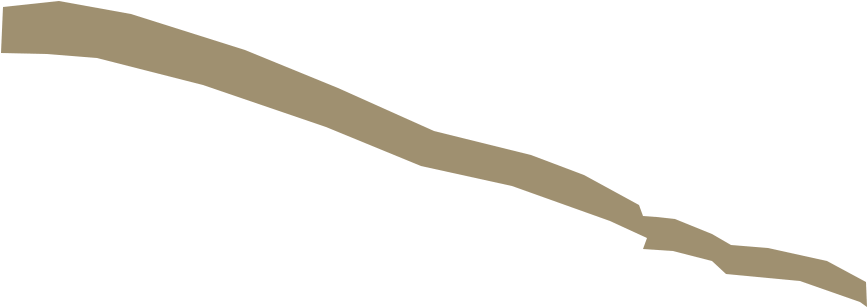 F09-lg - Twig (1196x837), Png Download