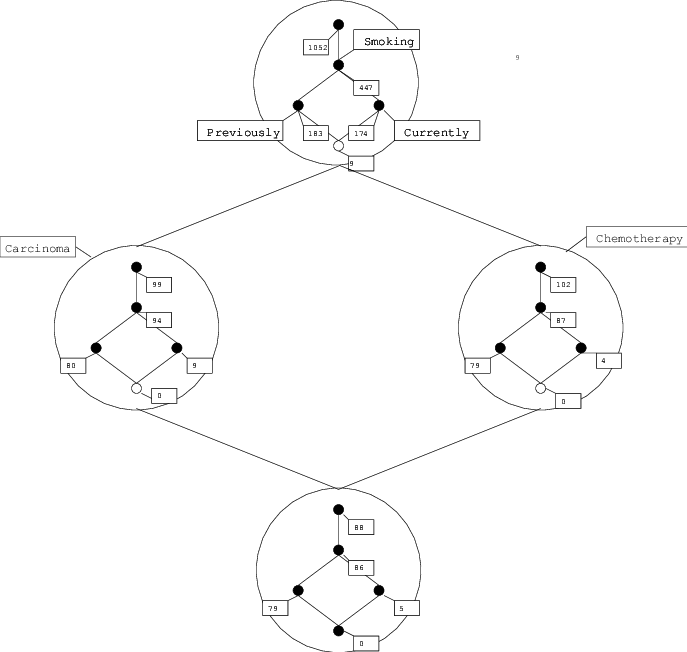 Example Of A Concept Lattice - Diagram (687x652), Png Download