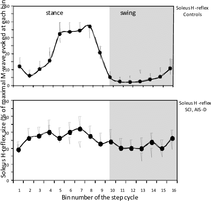 Soleus H-reflex Modulation During Treadmill Stepping - Spinal Cord (734x677), Png Download