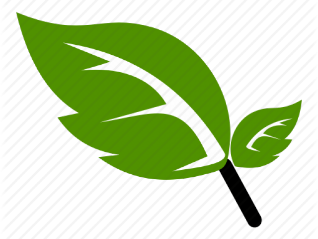Green Leaf Icon Png (640x480), Png Download