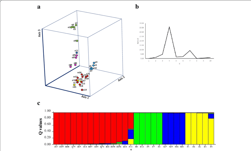 A Principal Coordinates Analysis Of 28 Accessions Of - Diagram (850x513), Png Download