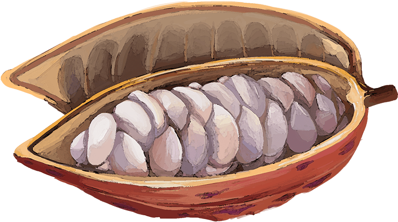 See The Impact Of The Lindt & Sprüngli Farming Program - Dinghy (820x482), Png Download