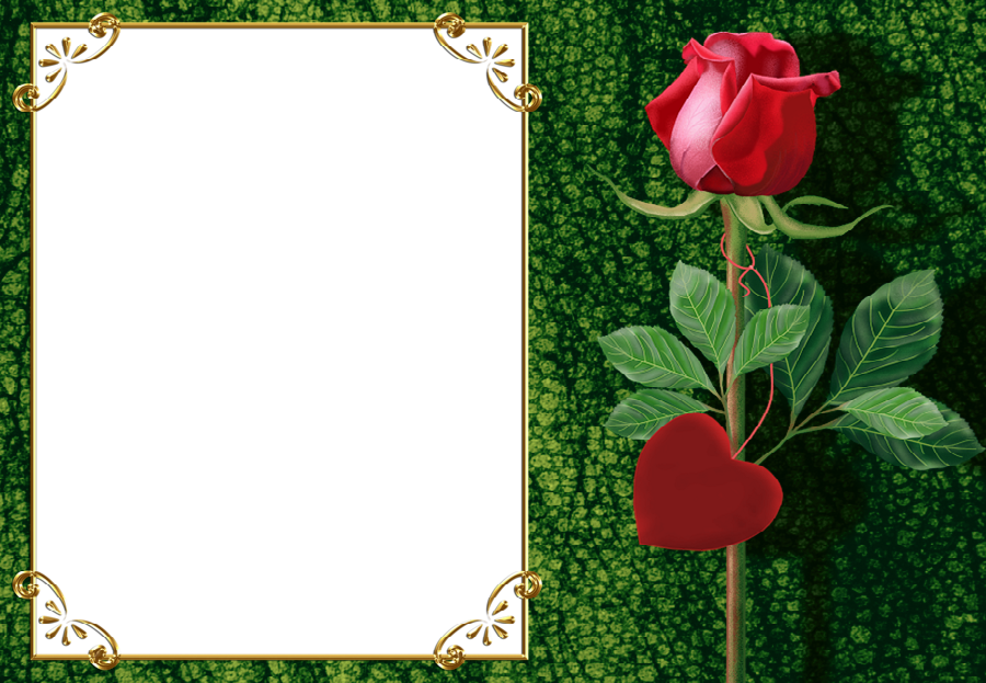 Фотоэффект С Категории - Rose Frame Photo Editor (900x623), Png Download