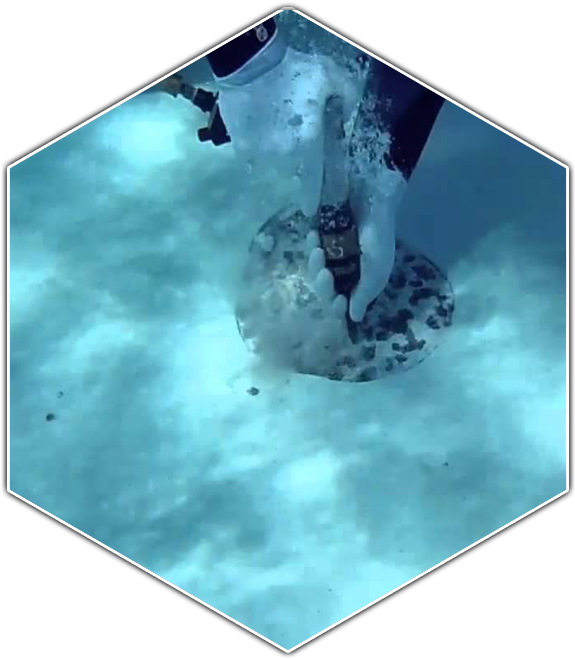 Underwater (681x681), Png Download