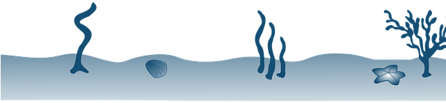 Underwater Clipart Transparent - Clipart Fondos De Mar Png (640x480), Png Download