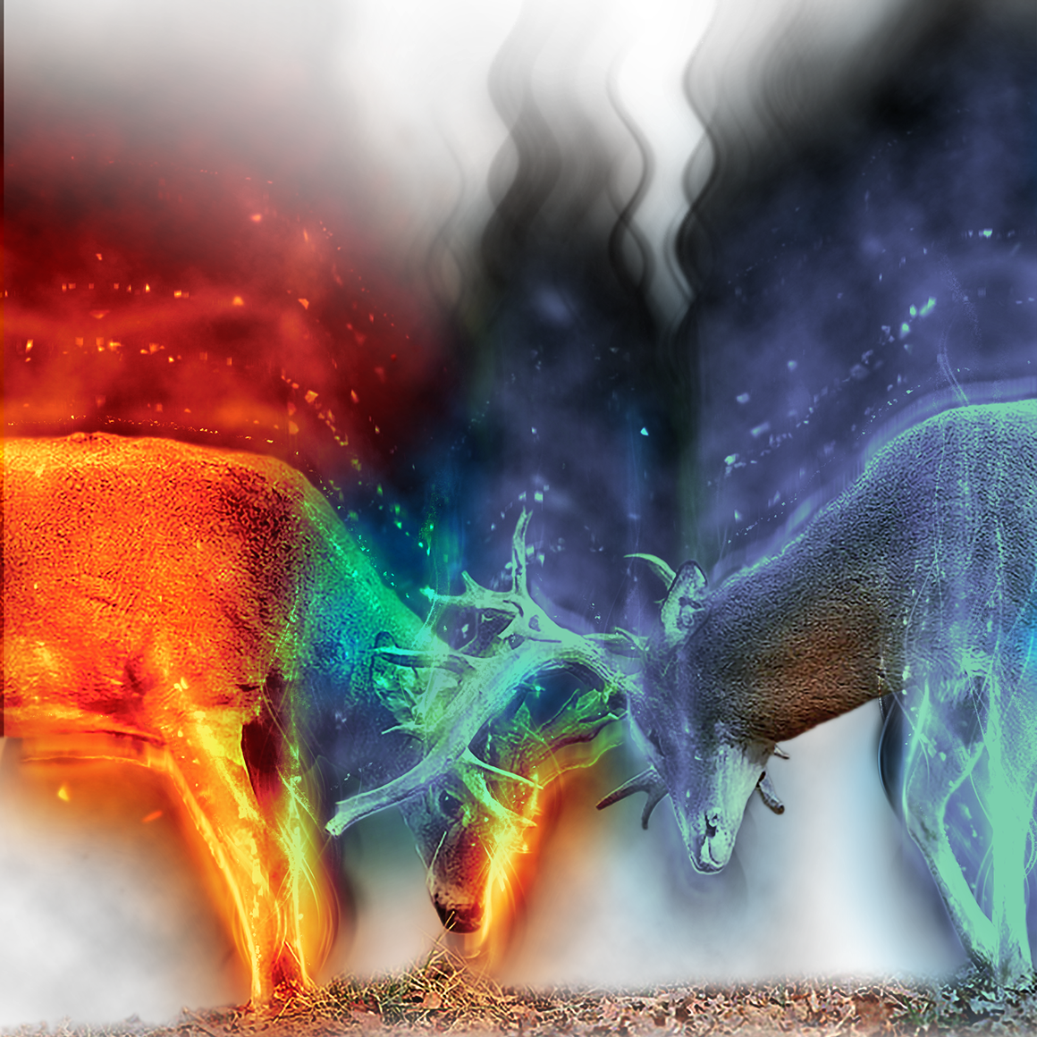 Fighting-bucks - Mythical Creature (1160x1160), Png Download