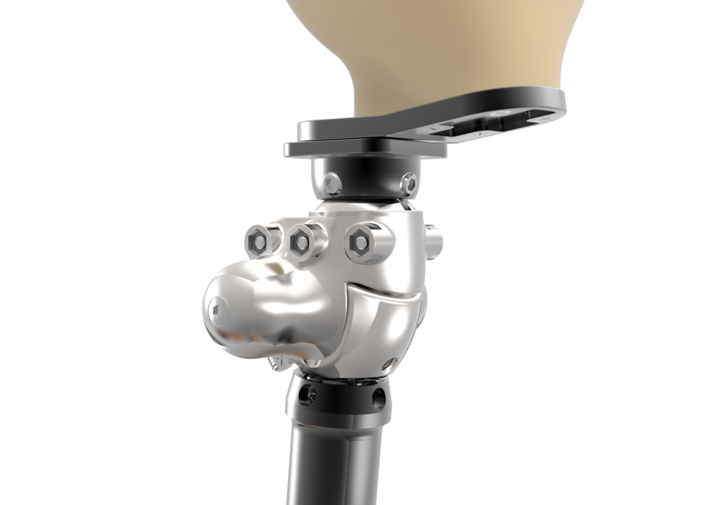 Leg Final Rander (1000x714), Png Download