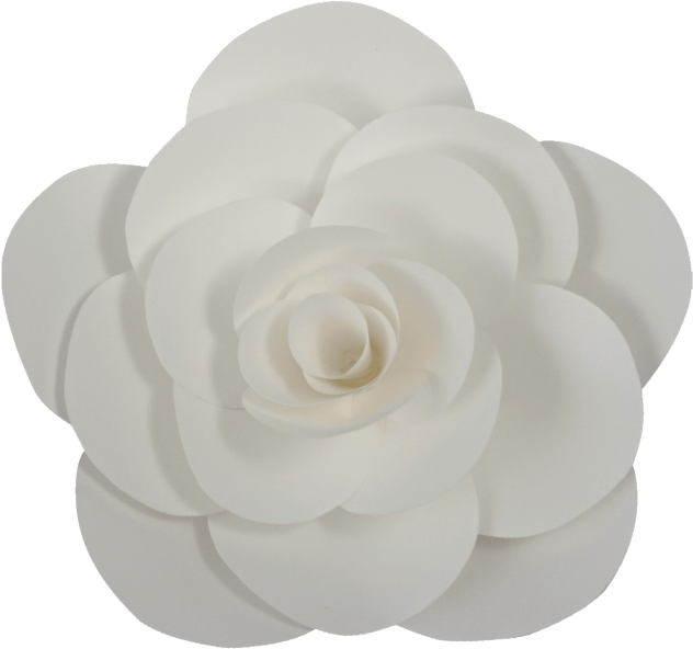White Paper Flower Png (700x700), Png Download