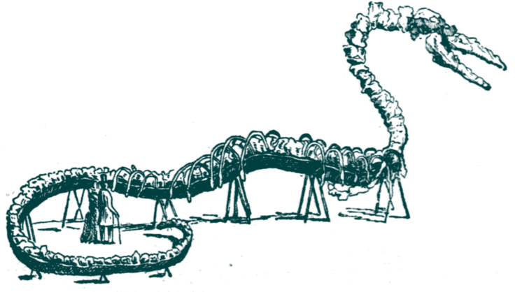 A Canadian River Monster - Insect (750x439), Png Download