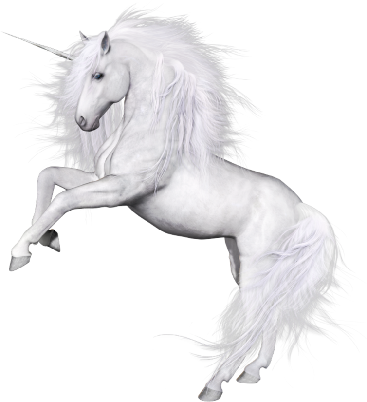 Unicorn Png, Download Png Image With Transparent Background, - Oreus Kristian's Quest [book] (800x845), Png Download