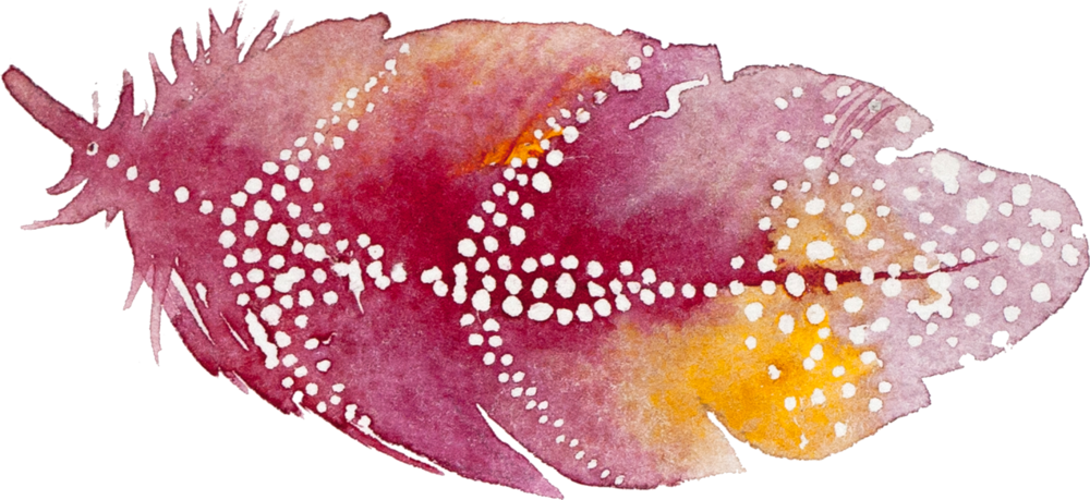 30 - Feather (1000x459), Png Download