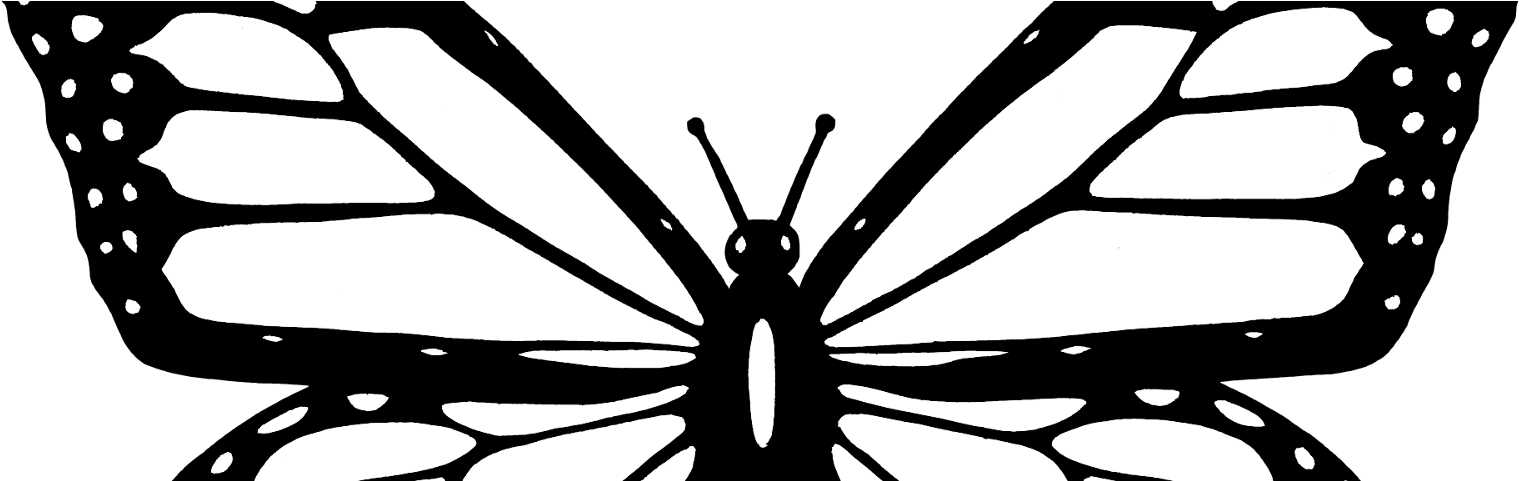 Sir Tomlin's Butterfly - Colouring Image Of A Butterfly (1600x480), Png Download