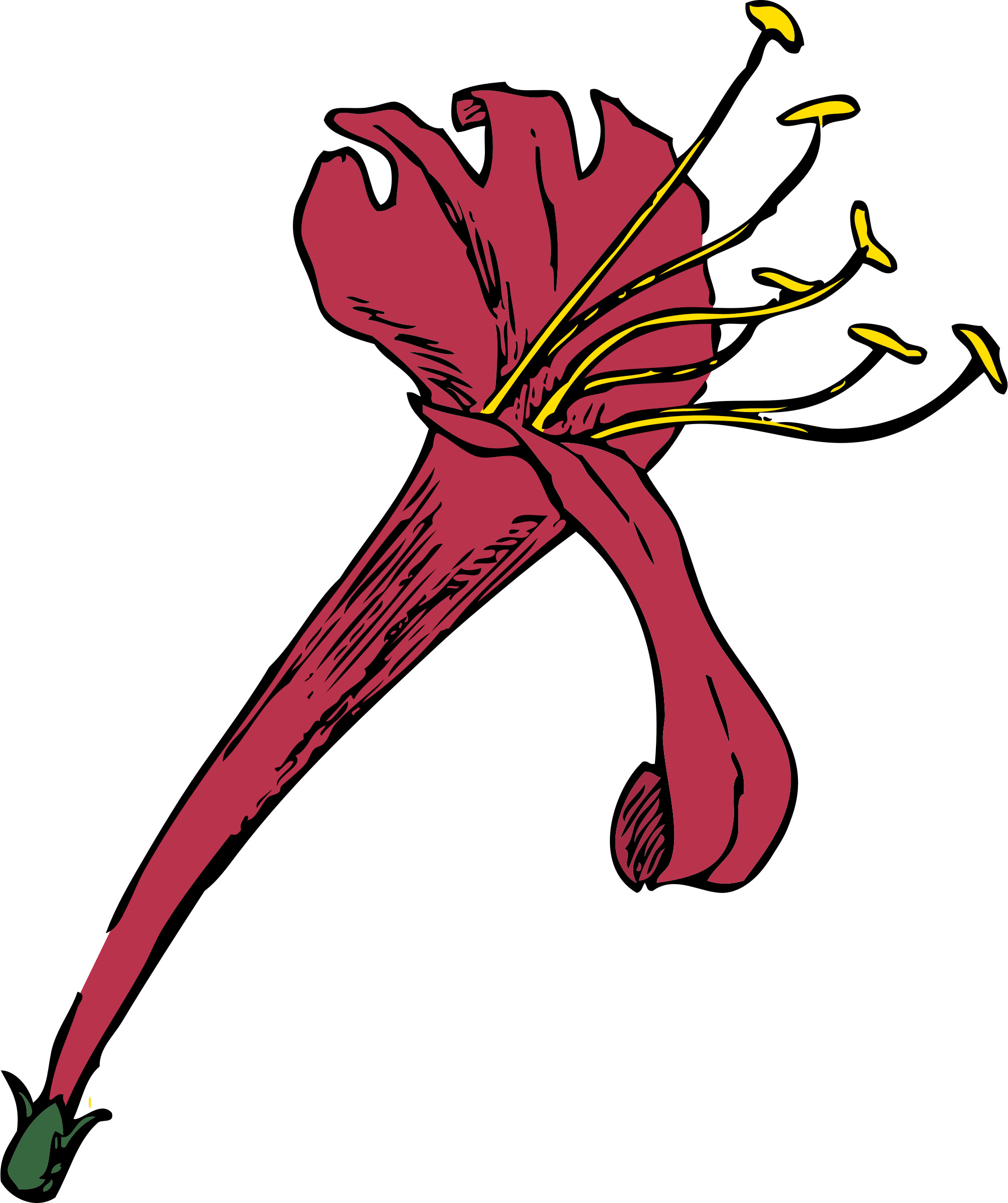 Honeysuckle Png (2010x2400), Png Download