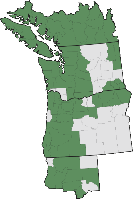 More Information - - Pacific Northwest (467x699), Png Download