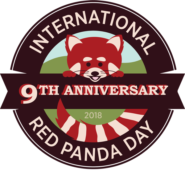 International Red Panda Day - International Red Panda Day 2018 (600x555), Png Download