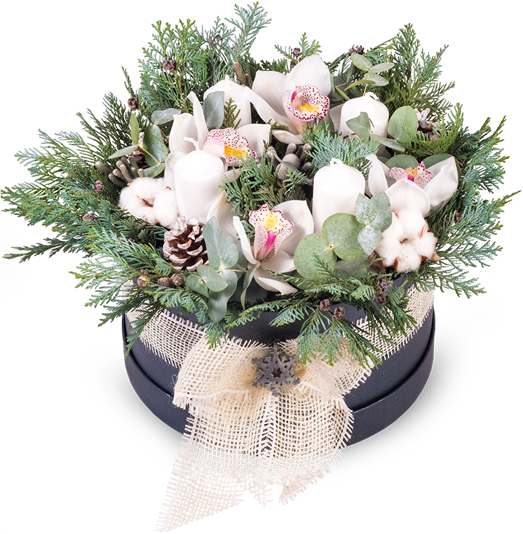 Winter Orchid Box - Bouquet (750x850), Png Download