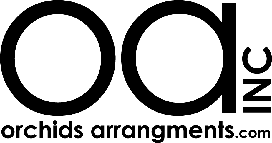 Orchids Arrangements Inc - Florida (924x488), Png Download