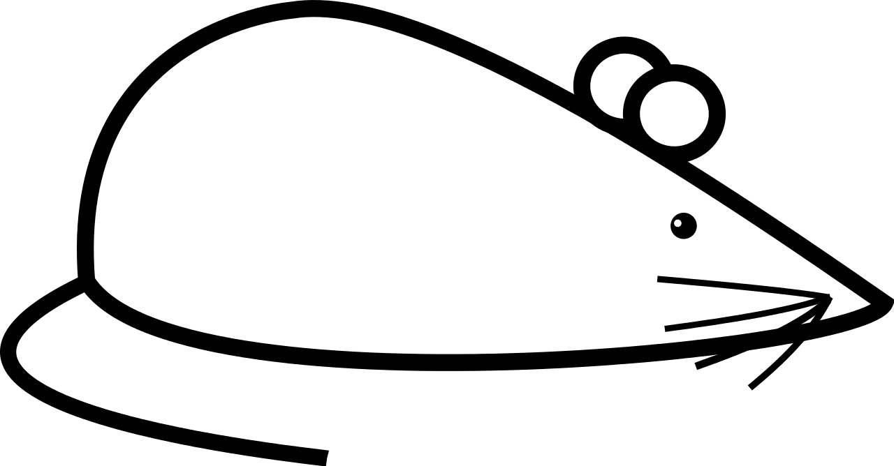 Mouse Clipart Simple ~ Frames ~ Illustrations ~ Hd - Simple Pictures Of Mouse (1280x668), Png Download