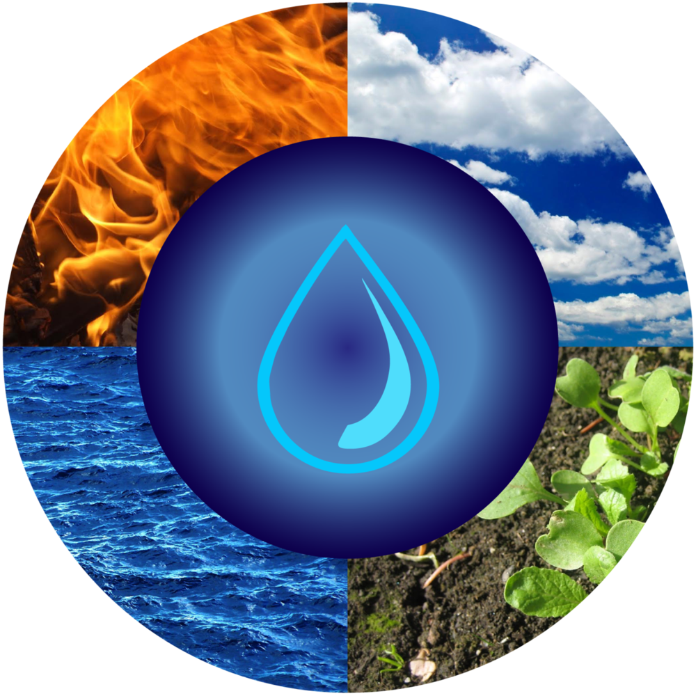 Ses - Portable Network Graphics (1000x1000), Png Download