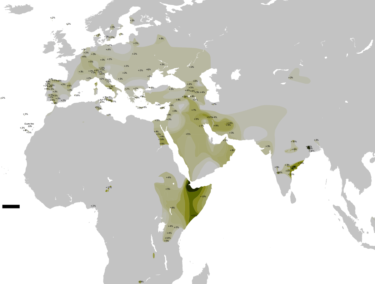 Haplogroup T (1200x910), Png Download