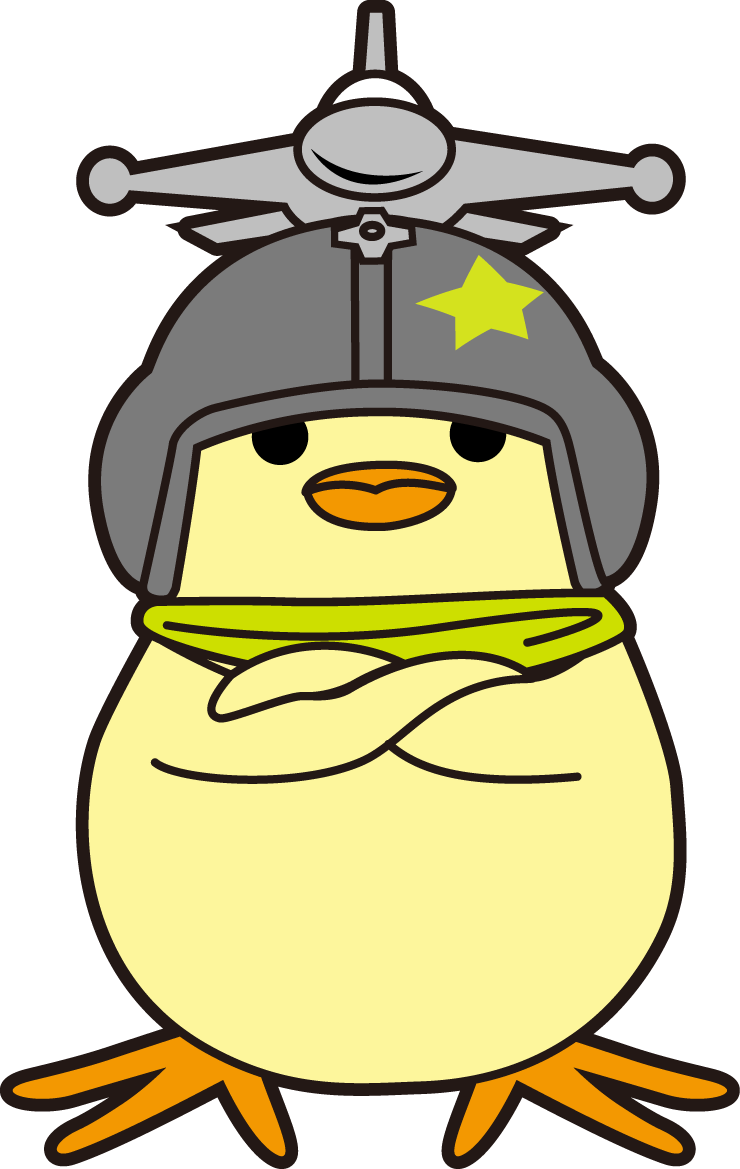 Proud Nugget - Ace Combat Infinity Nugget (740x1169), Png Download