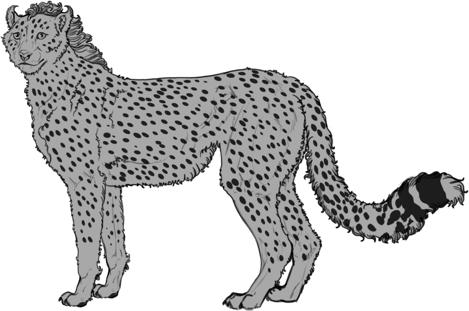 Cheetah Spot Png Jpg Black And White - Cheetah (1021x744), Png Download
