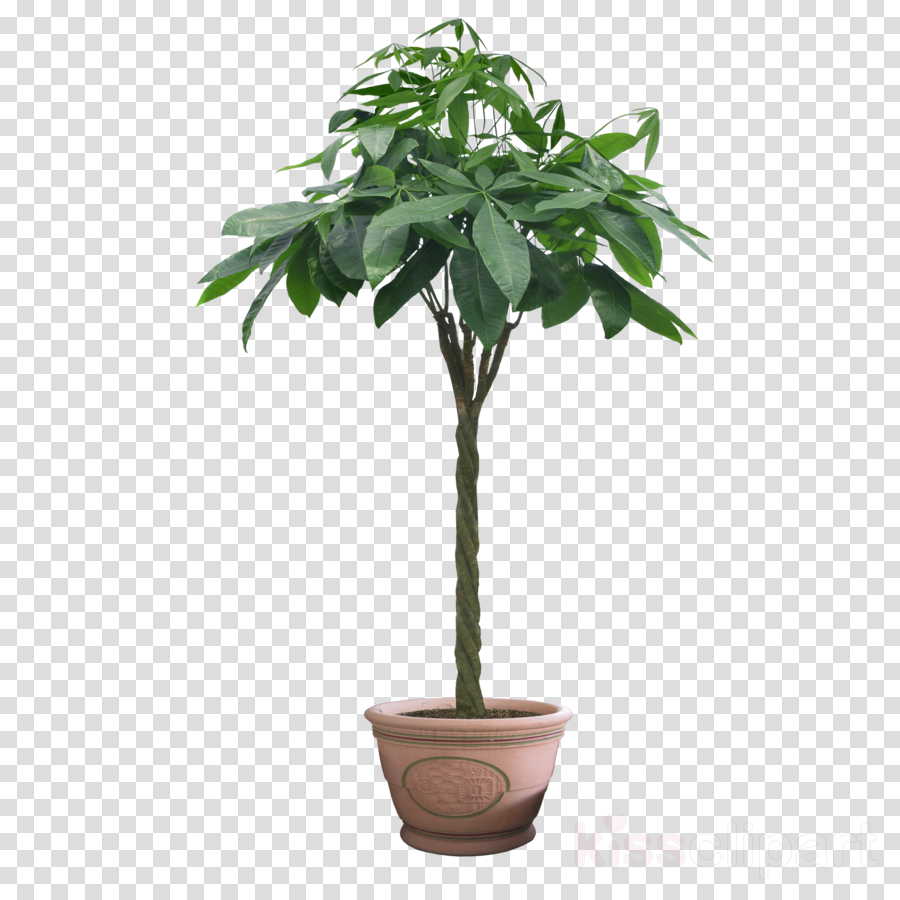 Download Winsoon 5ft Black Single Rustic Sliding Barn - Plant In Pot Png (900x900), Png Download