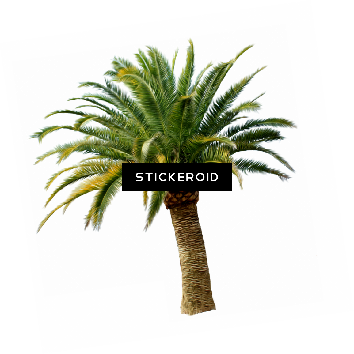 Пальма Palm Tree - Tom Sawyer Abroad: And Tom Sawyer Detective [book] (1155x1156), Png Download