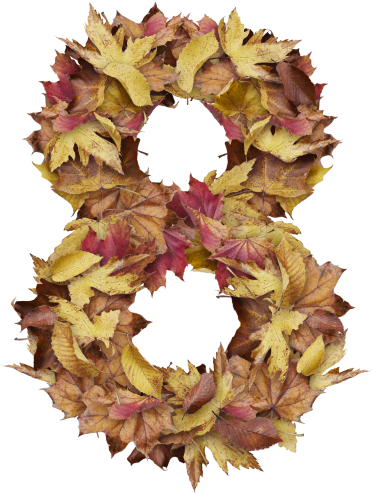 8 Number With Dry Leaves - Portable Network Graphics (866x650), Png Download