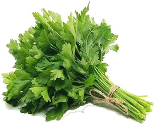 Parsley - คื่ น ช่า ย ไทย (600x600), Png Download