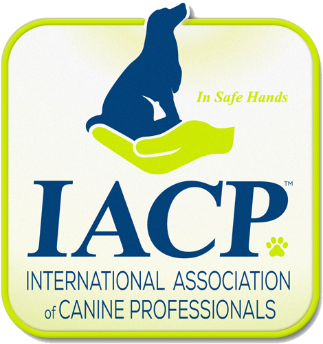 Iacp Logo Member Icon Rgb (600x600), Png Download