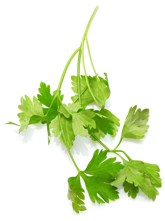 Saisonale Gerichte In Goslar Und In Bad Harzburg - Food (687x908), Png Download