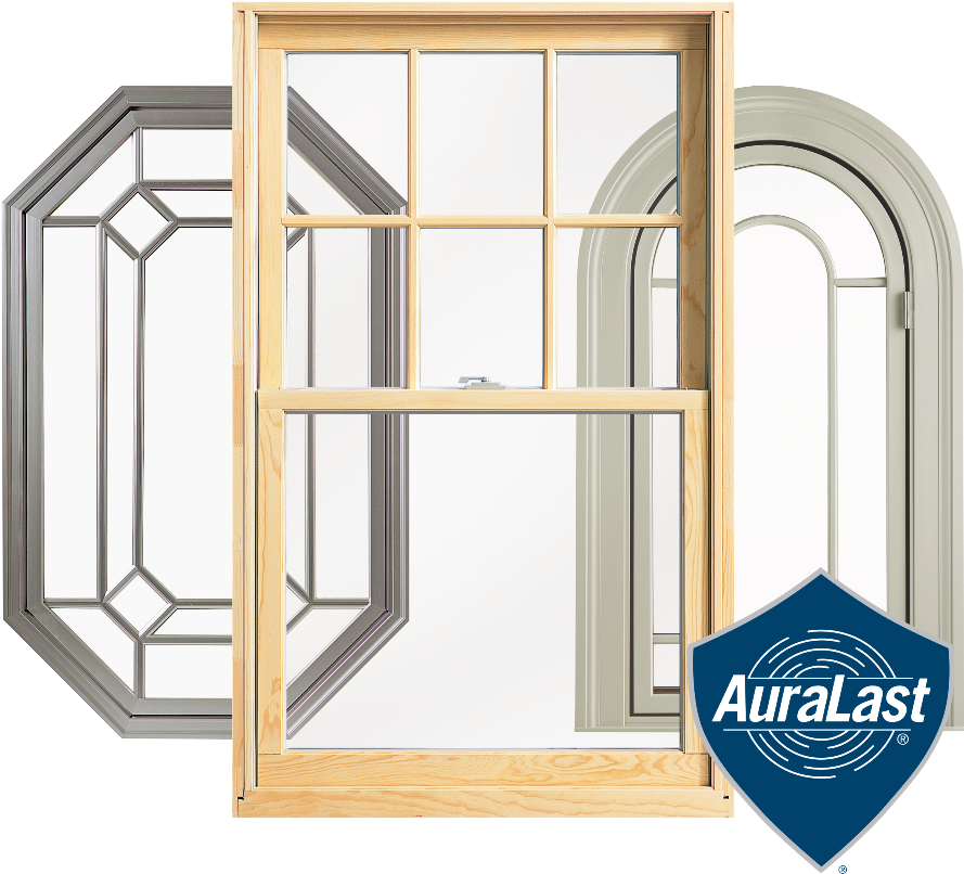 Limited Lifetime - Plywood (902x814), Png Download