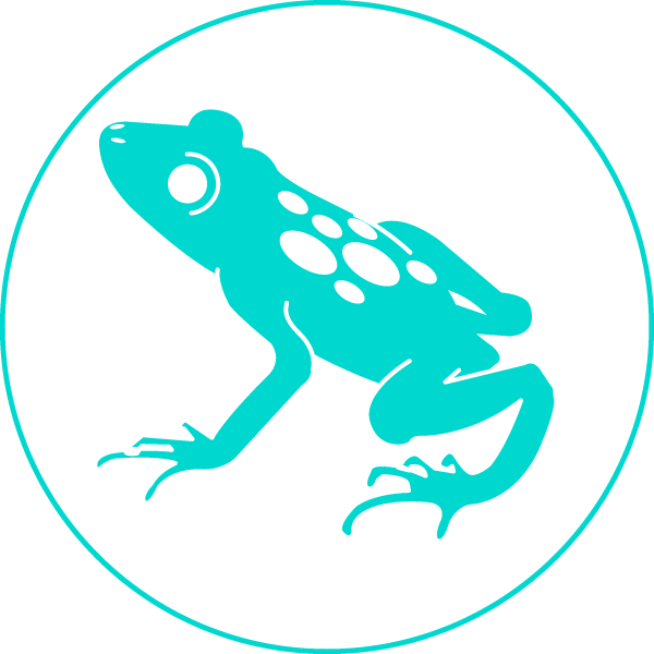 Blue Poison Frog - Phyllobates (600x600), Png Download