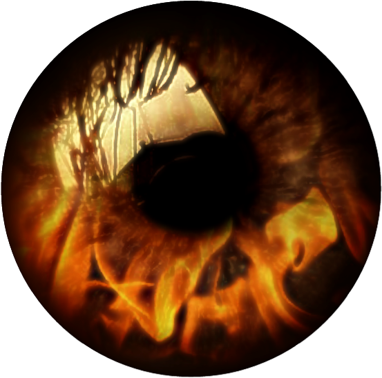 Circle (600x602), Png Download