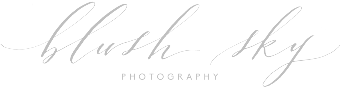 Blush Sky Photography Logo - Logo (1200x311), Png Download